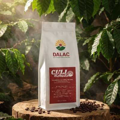 DALAC Culi Robusta