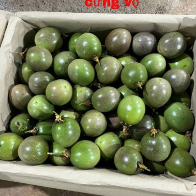 Chanh Dây Mơ Nông DALAC – Giống Nafods1 Trồng Hữu Cơ Tây Nguyên